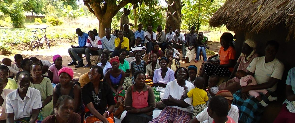 Combatting Malaria & Strengthening Grassroots Health in West Nile